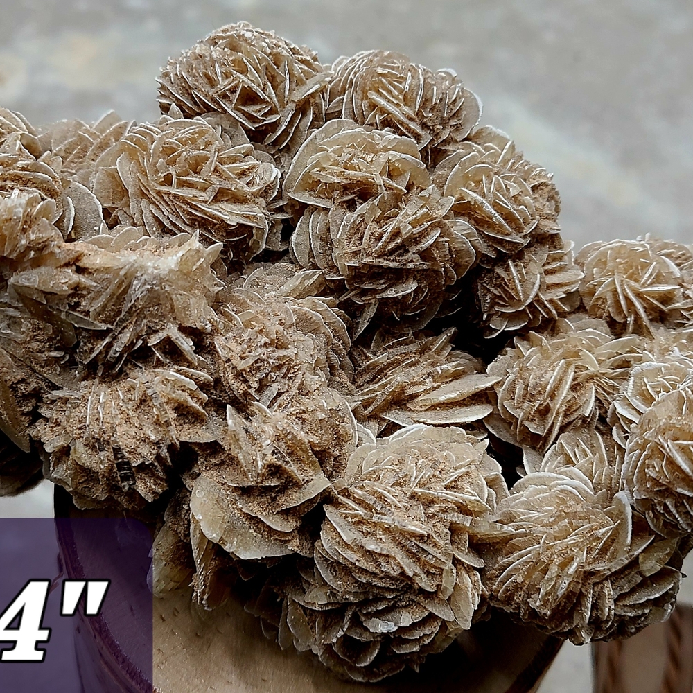Desert Rose Selenite Crystal Cluster